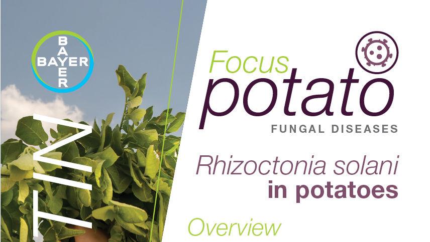 Rhizoctonia solani
