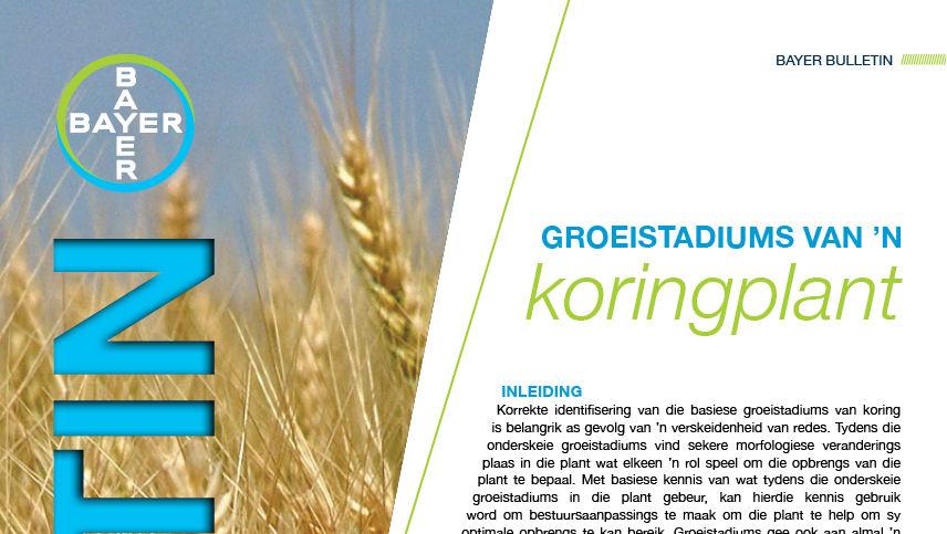 Groeistadiums