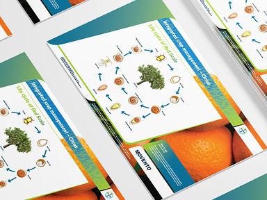 Disease cycle of Red Scale 