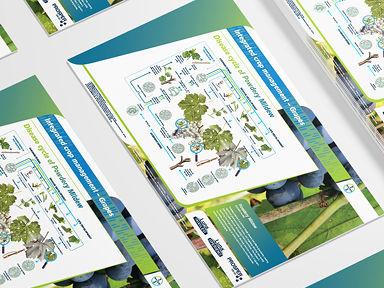 Disease cycle of Powdery Mildew