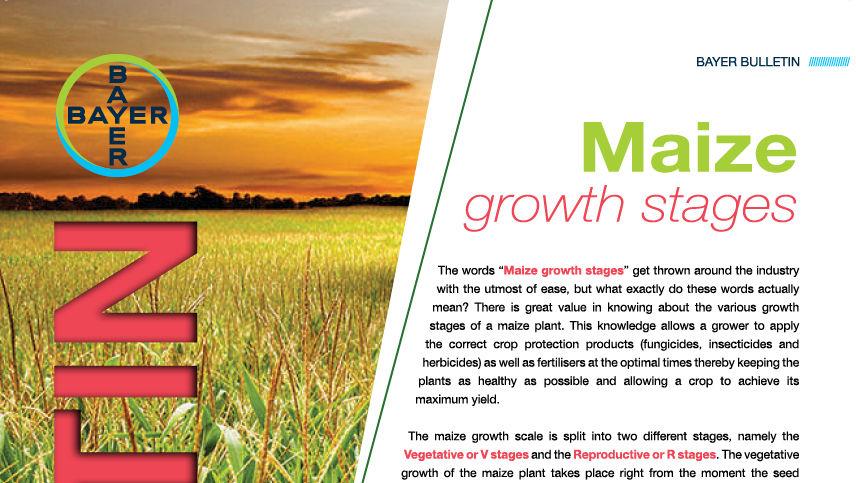 Growth Stages