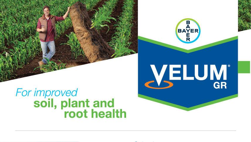 Velum® 1 GR
