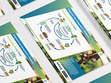Disease cycle of Early Blight   