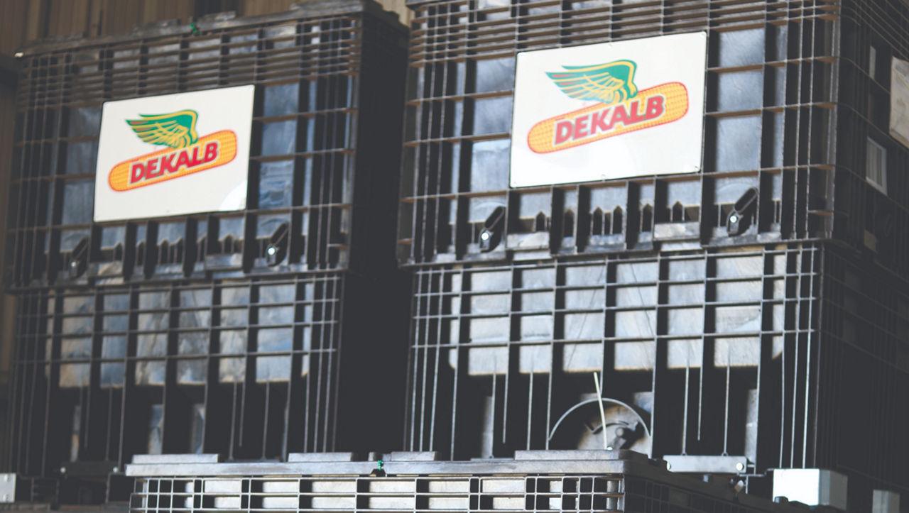 Praktiese reëls vir die stoor van saad