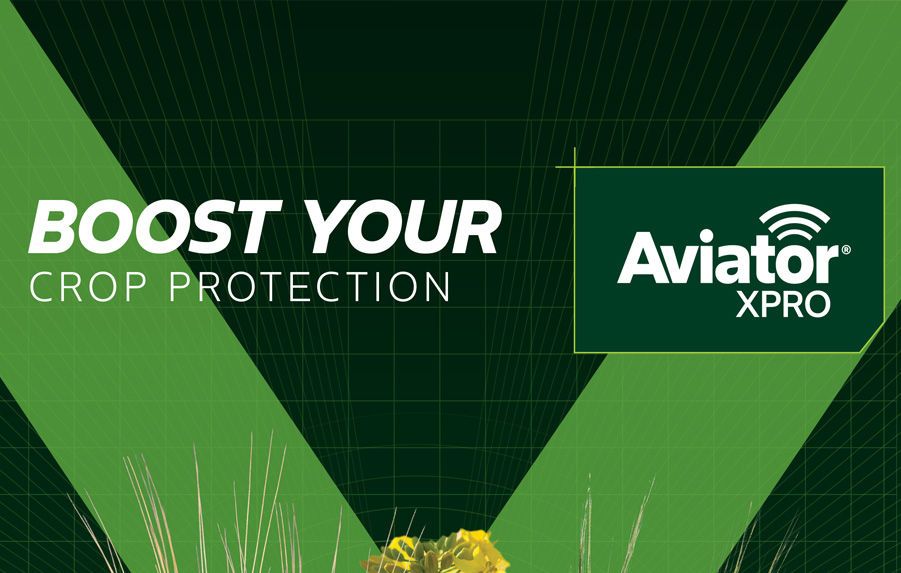Aviator Technical Guide