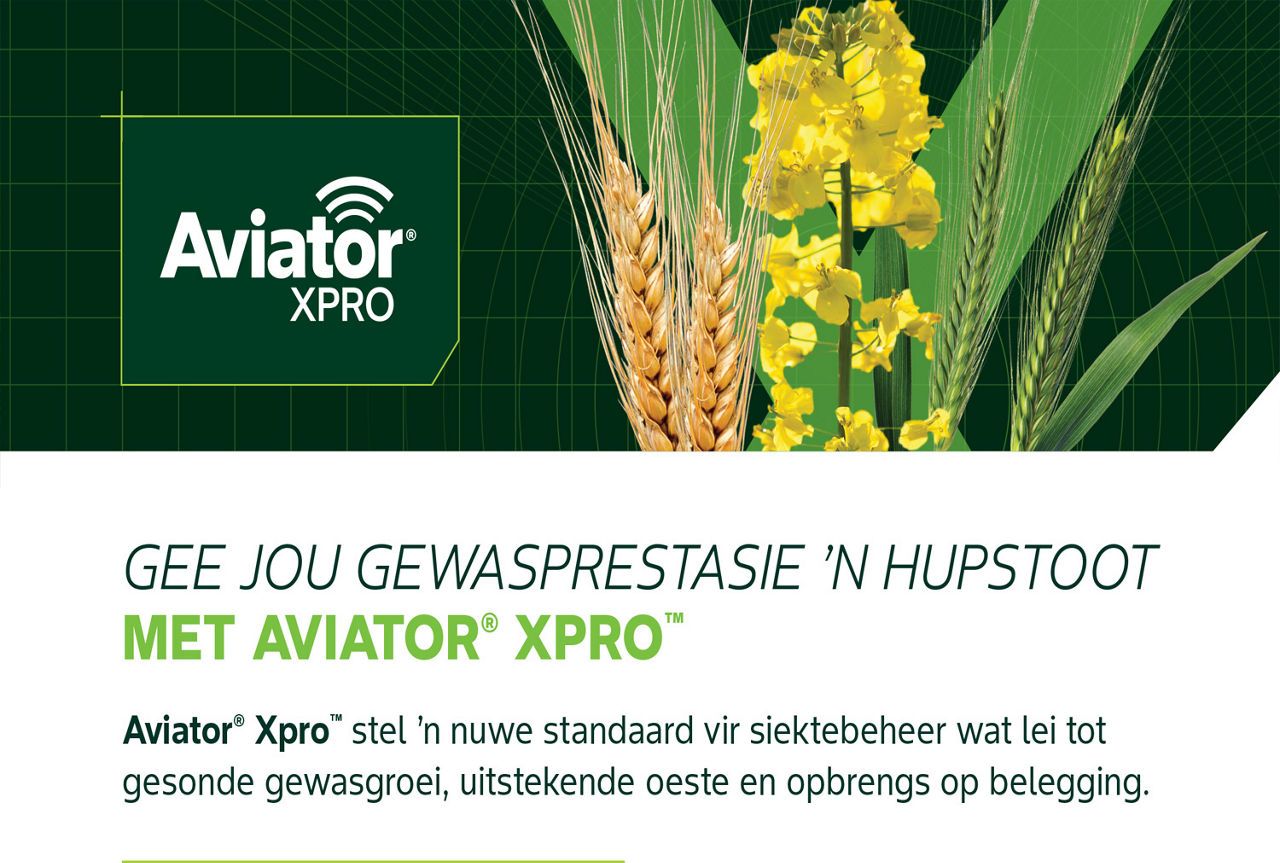 Aviator Xpro