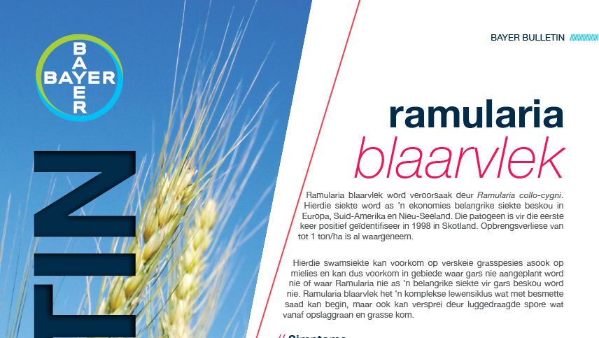 Ramularia blaarvlek