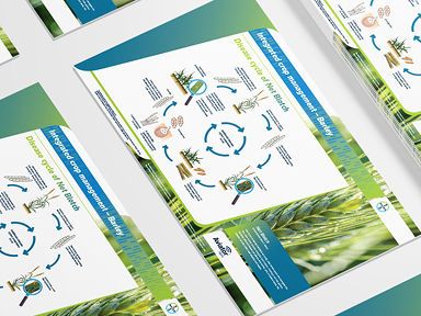 Siektesiklus van Netvlek 