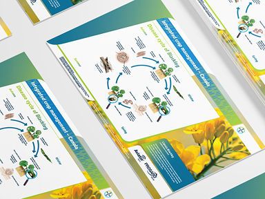 Siektesiklus van Swartstam 