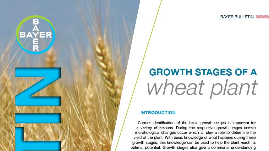 Wheat Growth Stages