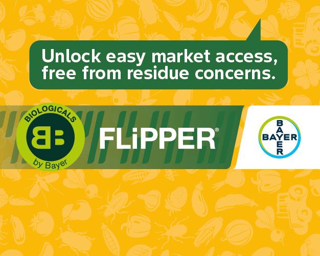 FLiPPER® Pamflet