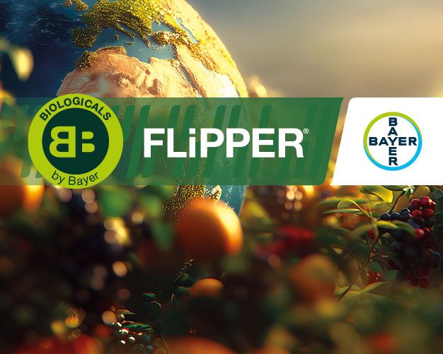 FLiPPER® Video