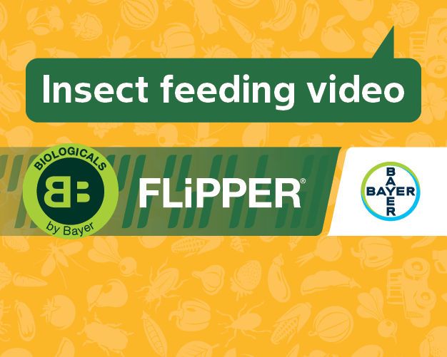 ZA Sign in FLiPPER® effect on Aphids and Thrips 