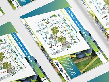 Siektesiklus van Poeieragtige Meeldou