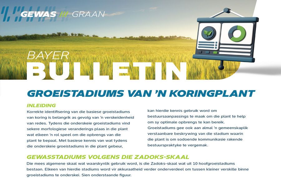 Groeistadiums