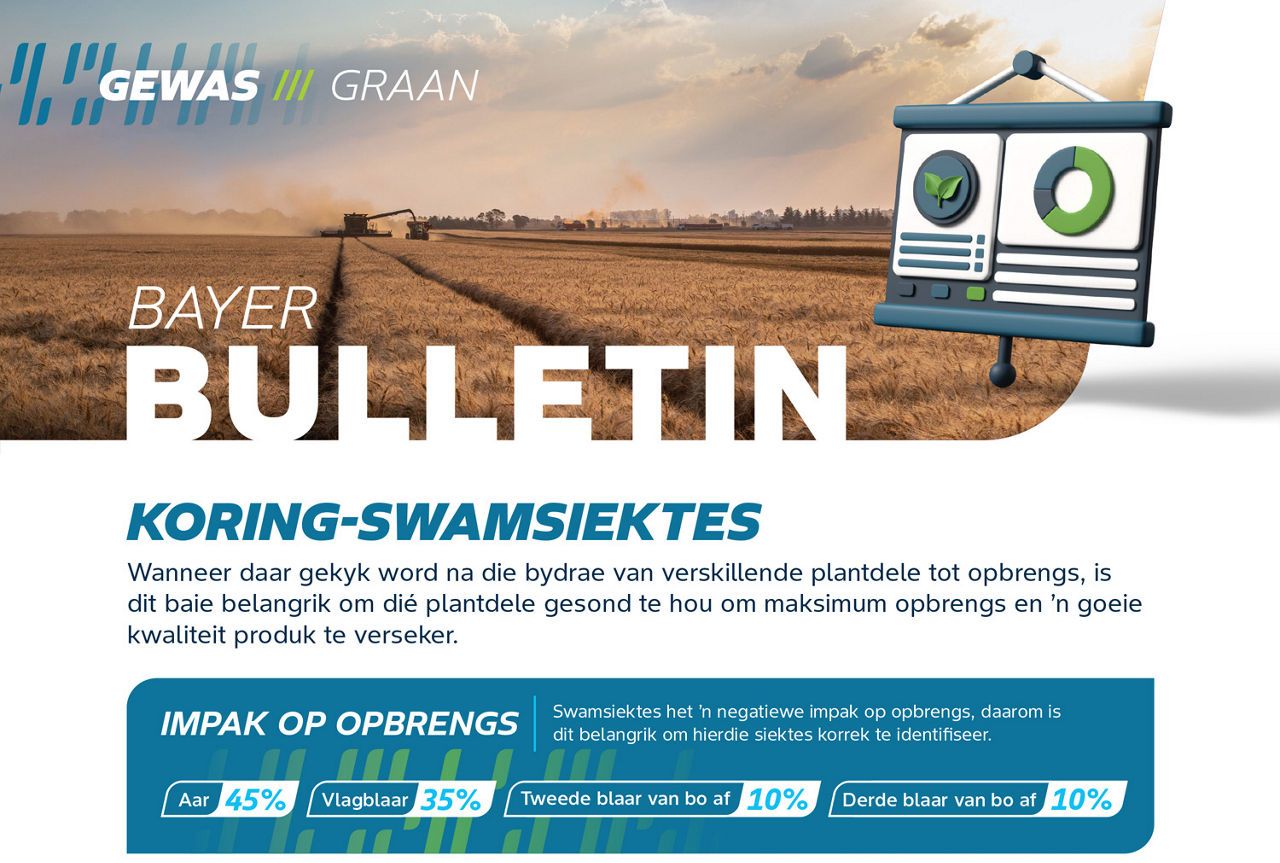 Swamsiektes
