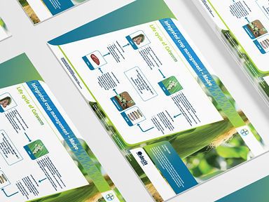 Siektesiklus van Snywurm