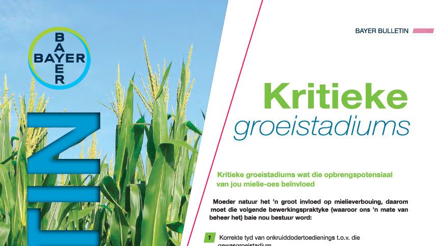 Kritieke Groeistadiums