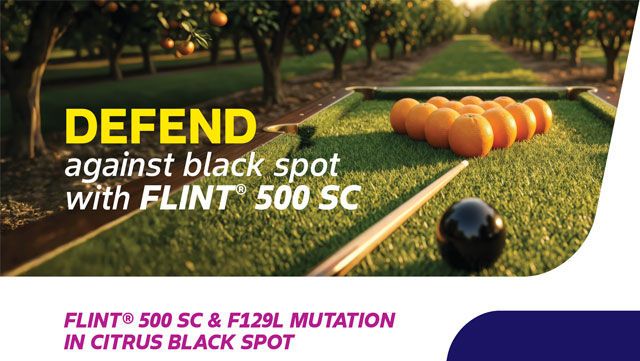FLINT® 500 SC & F129L